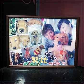 拼圖製做 轉印拼圖1000片(寵物篇)TPJ-004